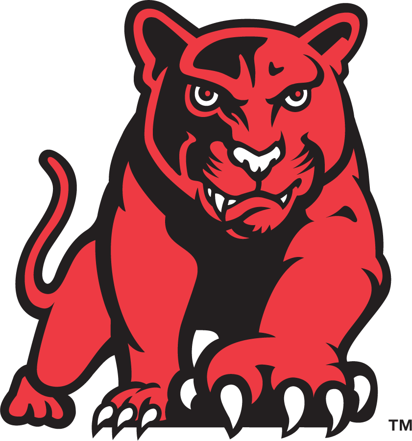 Houston Cougars 1996-2003 Secondary Logo v2 diy iron on heat transfer